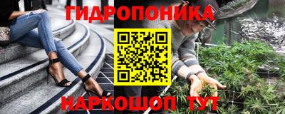 винт Кингисепп