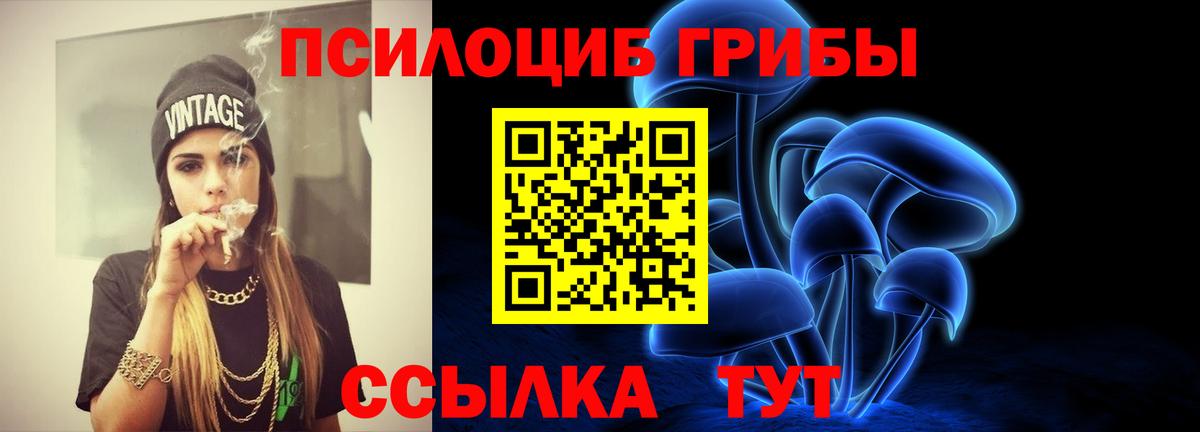 Галлюциногенные грибы мицелий  где можно купить наркотик  Псилоцибиновые грибы Psilocybe  Коряжма  Вход с VPN 